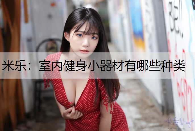 <strong>米乐：室内健身小器材有哪些种类</strong>