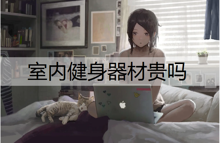 室内健身器材贵吗