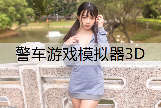 <strong>警车游戏模拟器3D</strong>