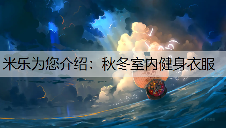 <strong>米乐为您介绍：秋冬室内健身衣服</strong>