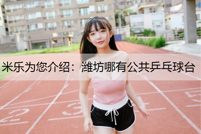<strong>米乐为您介绍：潍坊哪有公共乒乓球台</strong>