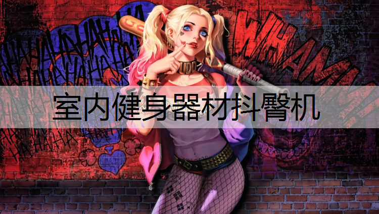 室内健身器材抖臀机