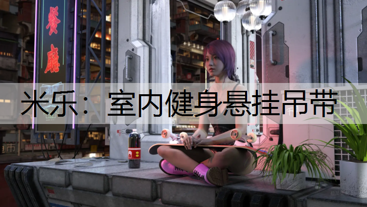 室内健身悬挂吊带