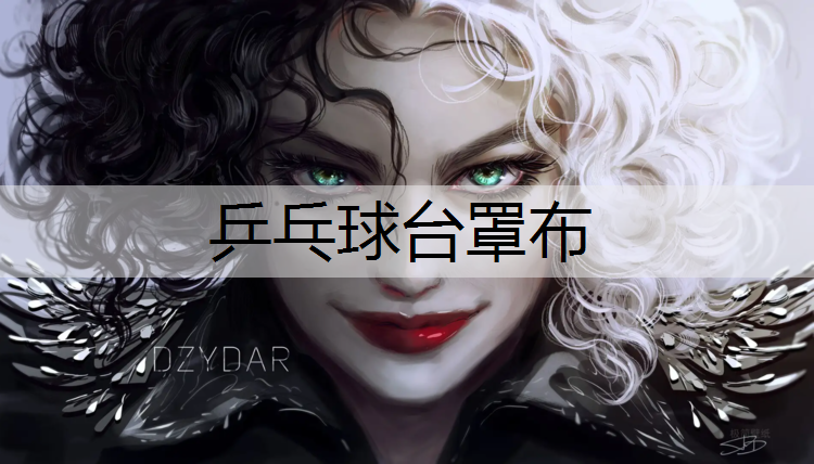 乒乓球台罩布