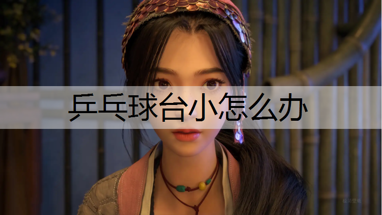 乒乓球台小怎么办