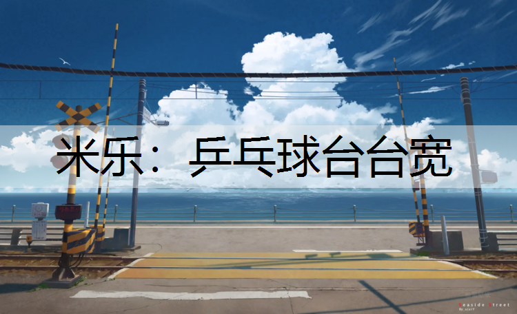 乒乓球台台宽